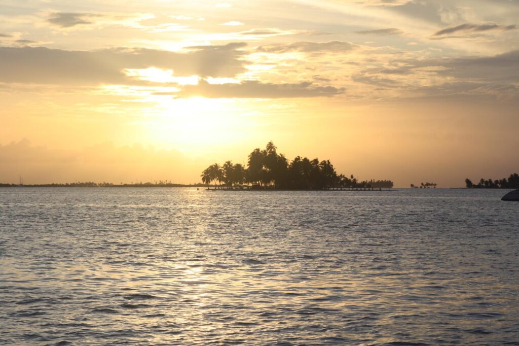 WhatsApp Image 2025 12 12 at 08.52.56 2