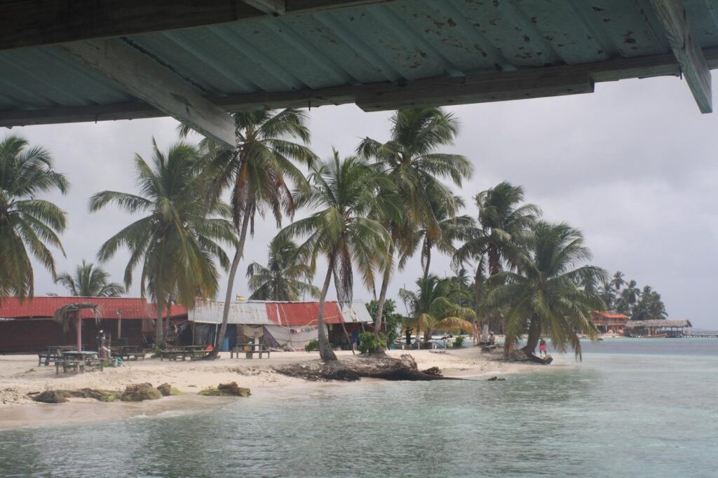 WhatsApp Image 2025 12 12 at 08.52.59 1